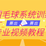 羽毛球训练视频教程，打羽毛球健身必看