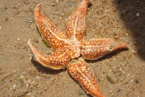 为何Linux系统解压zip包出现中文乱码？