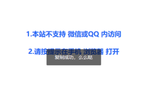 只允许网页在微信里打开源码 微信QQ浏览器打开提示源码