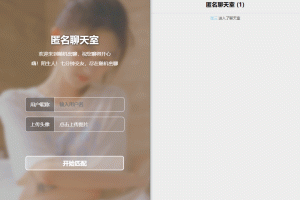 匿名聊天室源码 匿名聊天网站源码 交友网站码源码 七分钟交友匿名聊天室源码 node app.jsi源码