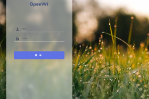 openwrt全能固件支持2.5g网卡 支持所有插件带有软件商店