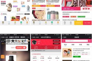 新微信淘宝客5.99.34+代理端2.99.1(免授权)+京东优惠券模块+app手机版+视频教程