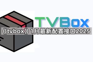 tvbox最新接口分享月最新配置接口2025